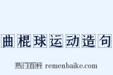 曲棍球运动造句是什么意思的图片